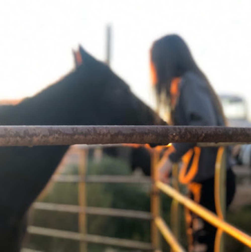 Meet your Posher, Jenna